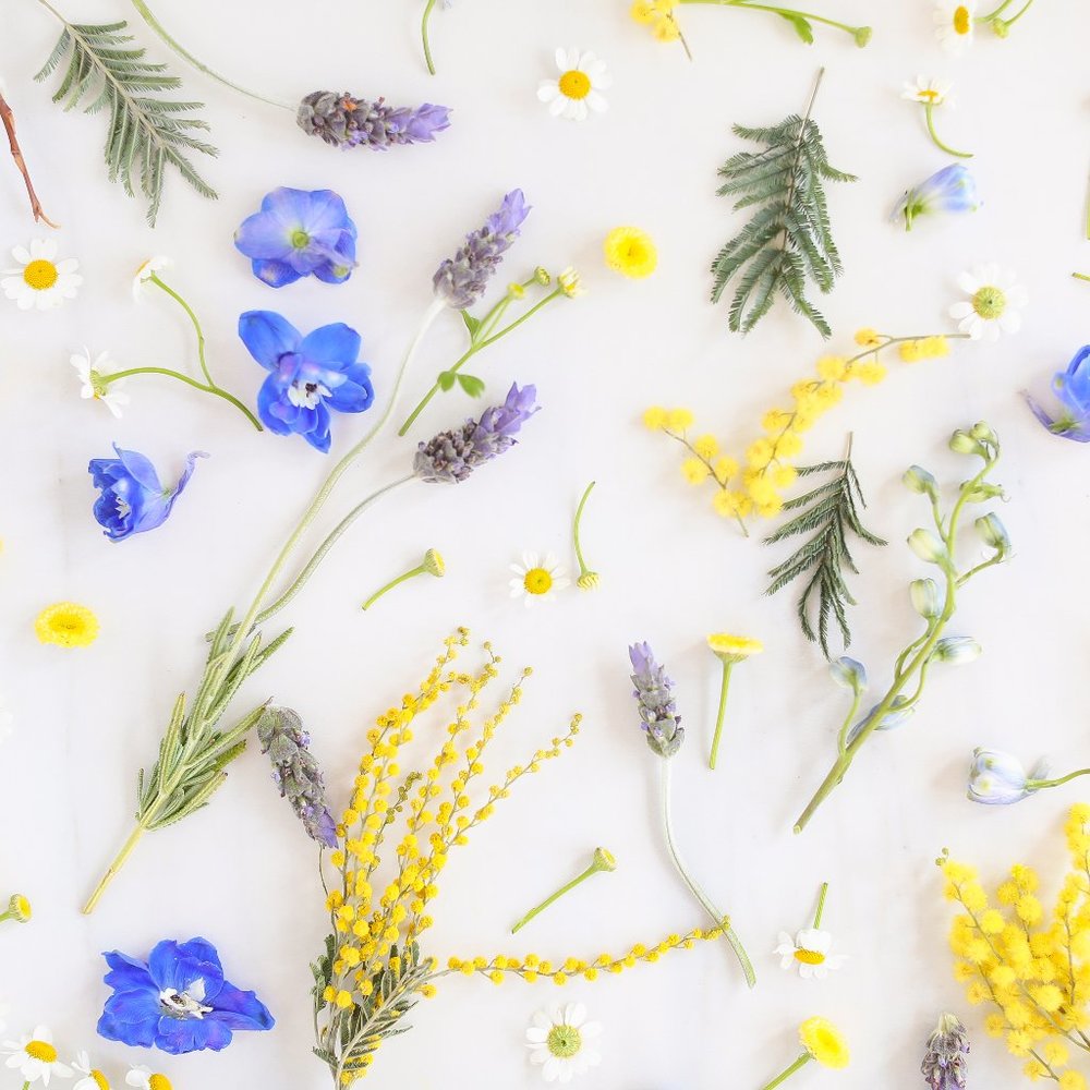 Meet your Posher, Melanie